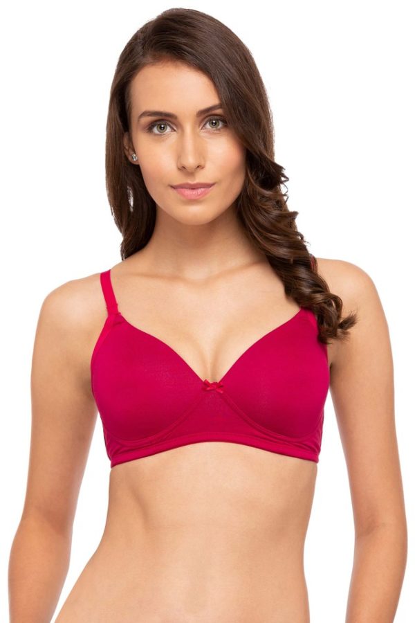 BWITCH FEMALE T-SHIRT BRA SOLID NON WIRED PADDED